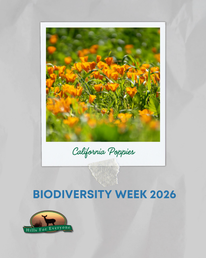 It’s Biodiversity Week