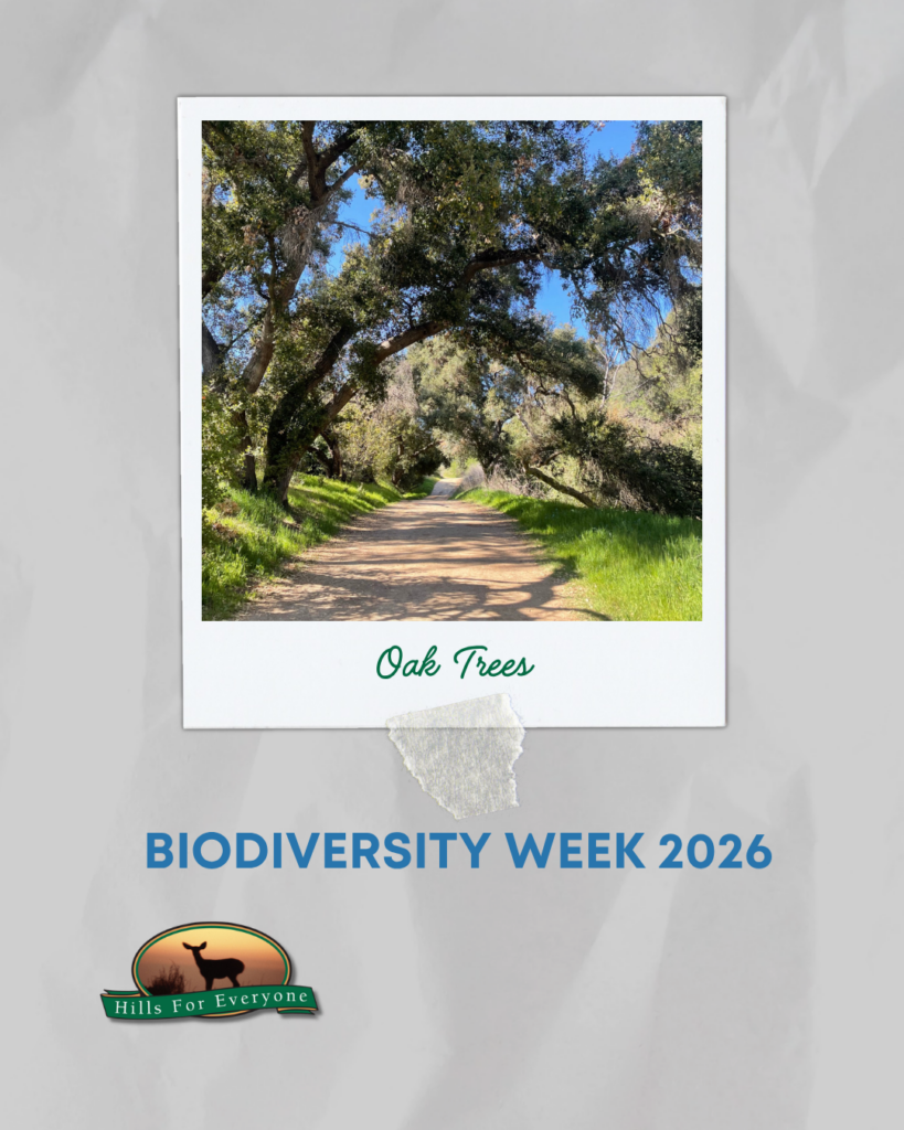 Against a grey crinkled background is a photograph frame labeled Oak Trees with oak trees. it reads: Biodiversity Week 2026 below it. The HFE logo is bottom left.