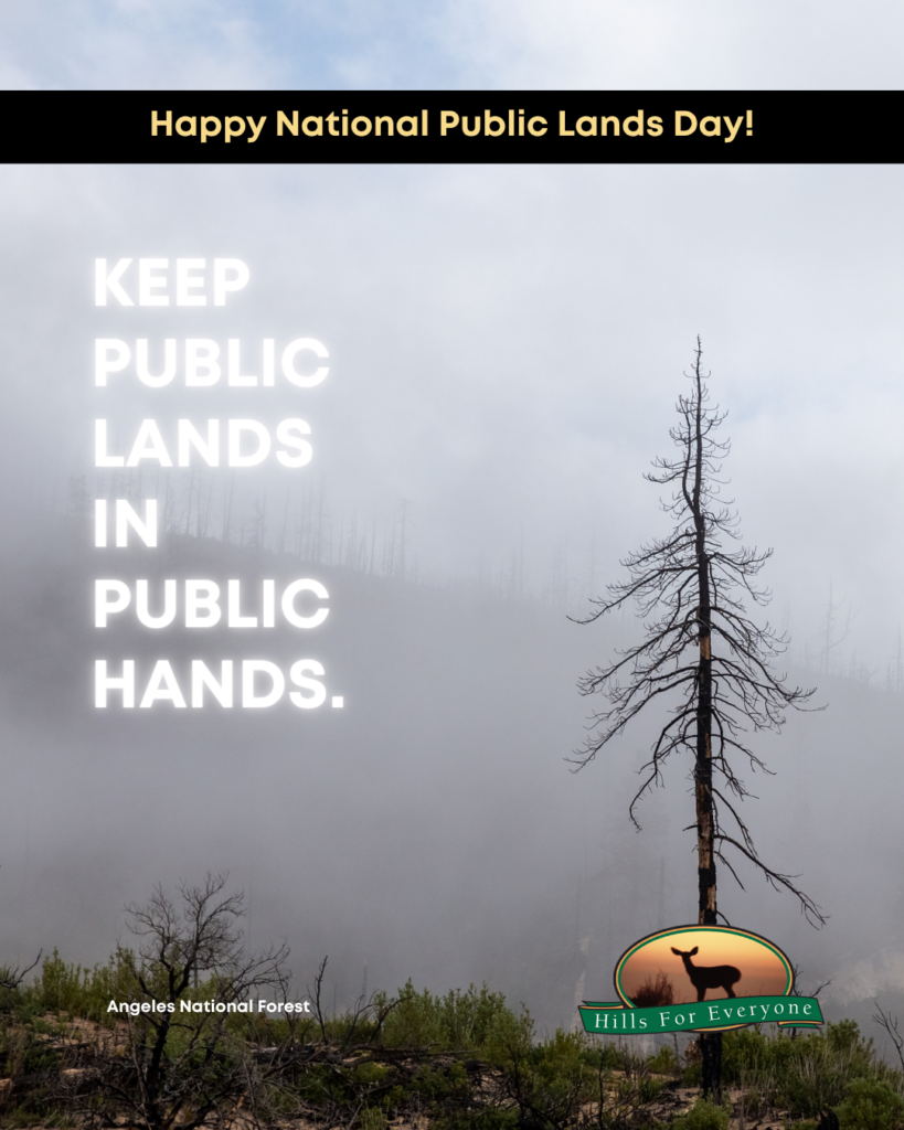 A photograph of a forest with a black bar at the top that says Happy National Public Lands Day. On the left in white it reads: Keep Public Lands in Public Hands. The HFE logo is bottom right and the place is identified: Angeles National Forest.
