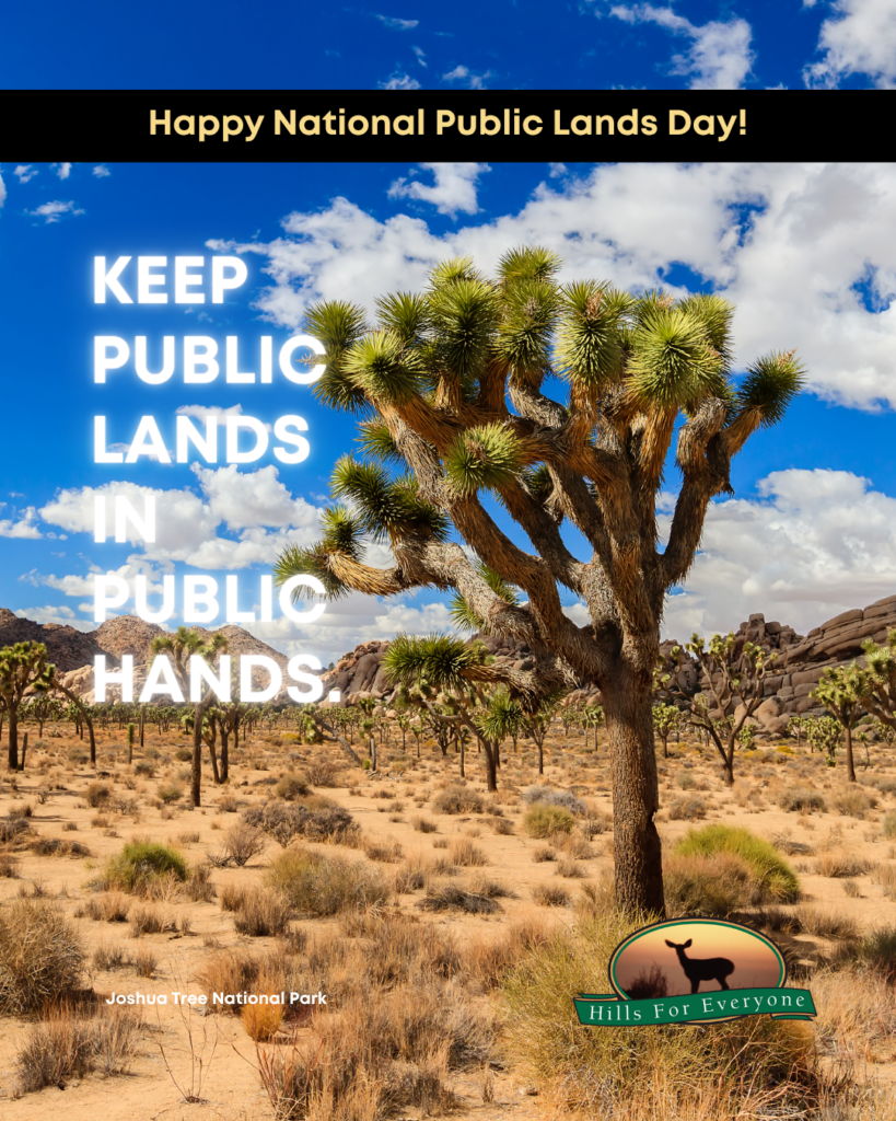 A photograph of a forest with a black bar at the top that says Happy National Public Lands Day. On the left in white it reads: Keep Public Lands in Public Hands. The HFE logo is bottom right and the place is identified: Joshua Tree National Park.